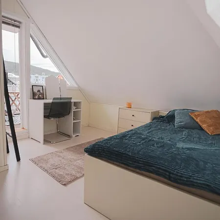 Center Historic Area Cozy House & Area Walking Distance * Bergen